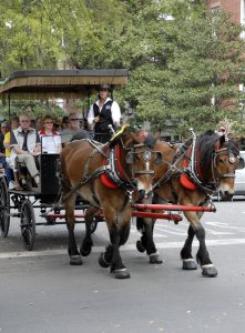 Carriage Tours Savannah Bed and Breakfast Inn