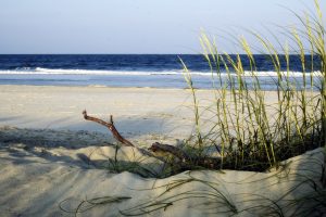 Tybee Island Savannah Beach